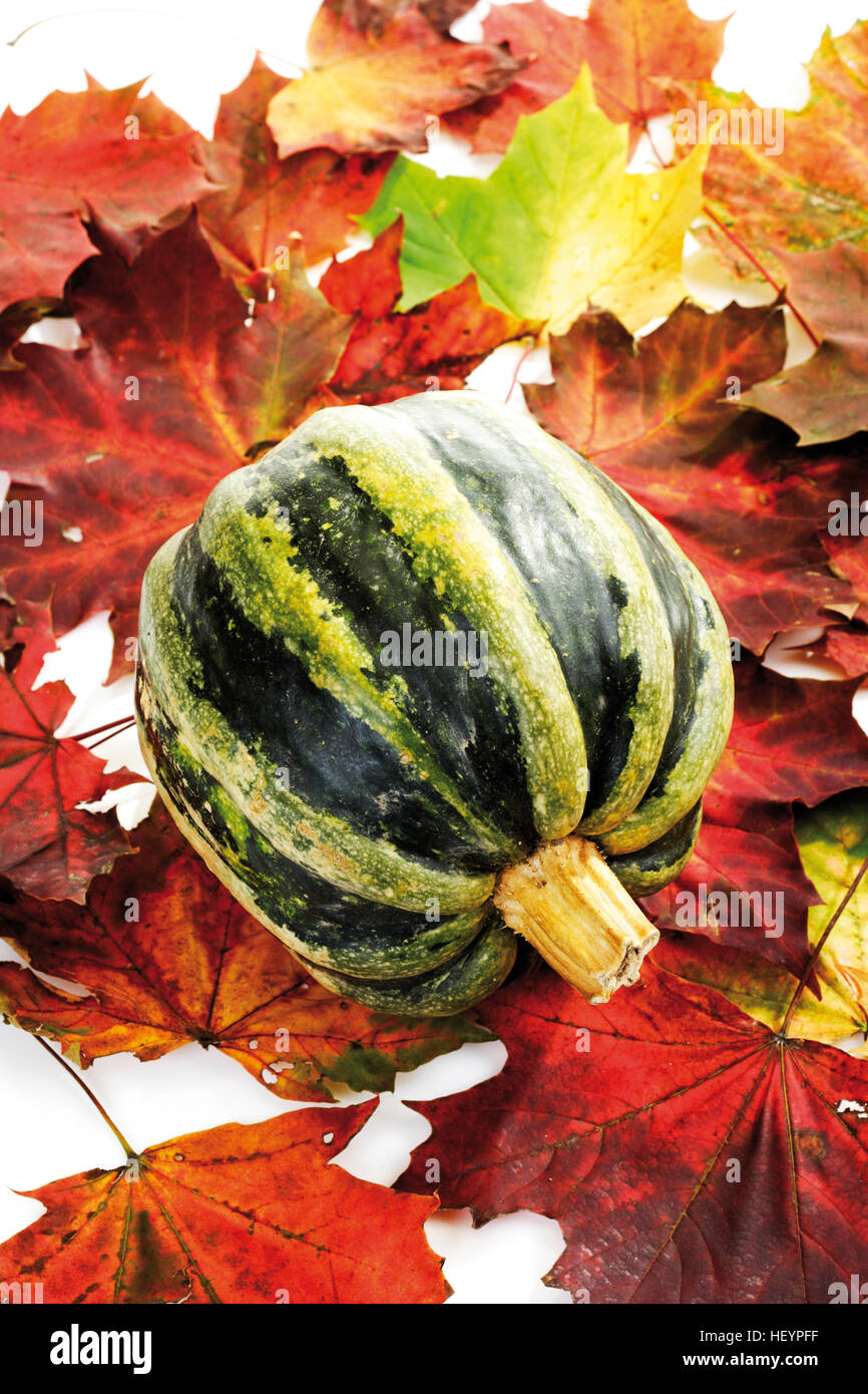 Squash avec motif de feuilles d'automne Banque D'Images