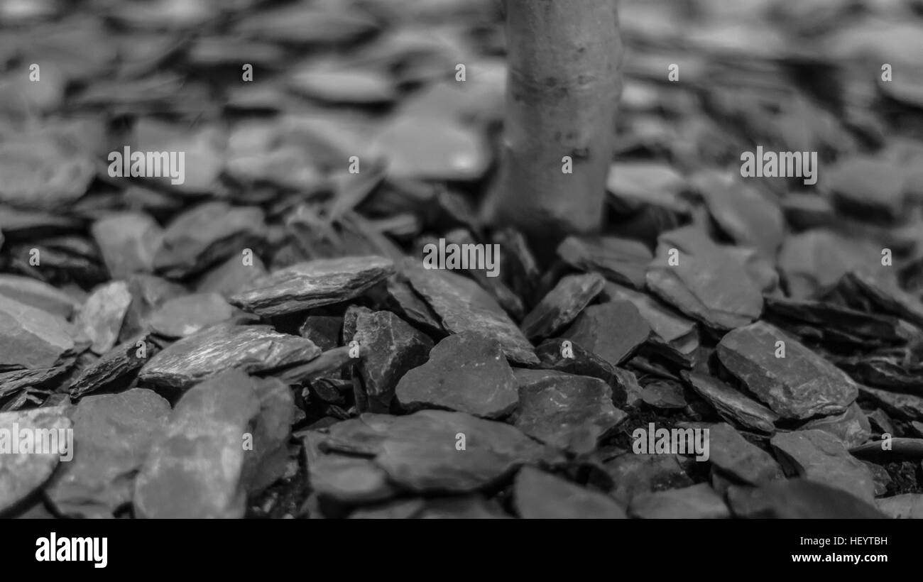 Près de roches tourné en noir et blanc Banque D'Images