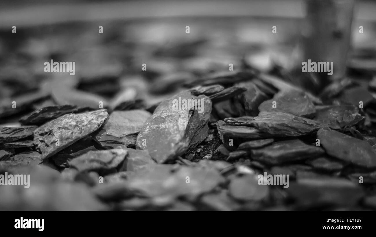 Près de roches tourné en noir et blanc Banque D'Images