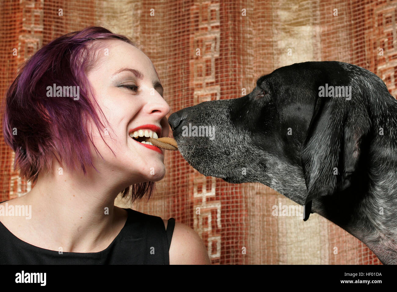 Jeune femme et son chien, l'os Banque D'Images