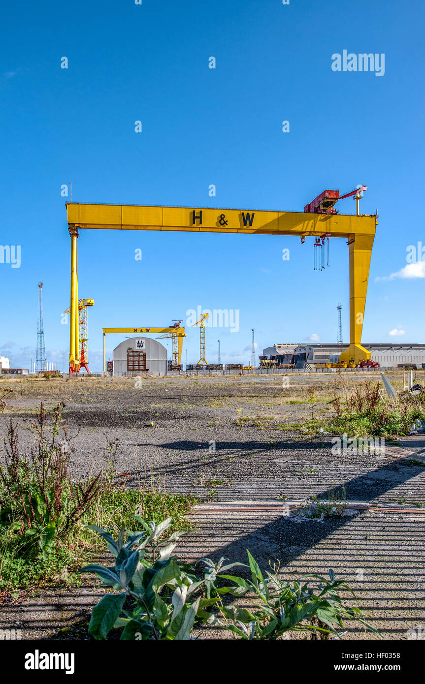 Samson et Goliath. La construction navale 1 portiques dans Titanic Quarter, célèbre monument de Belfast. Banque D'Images