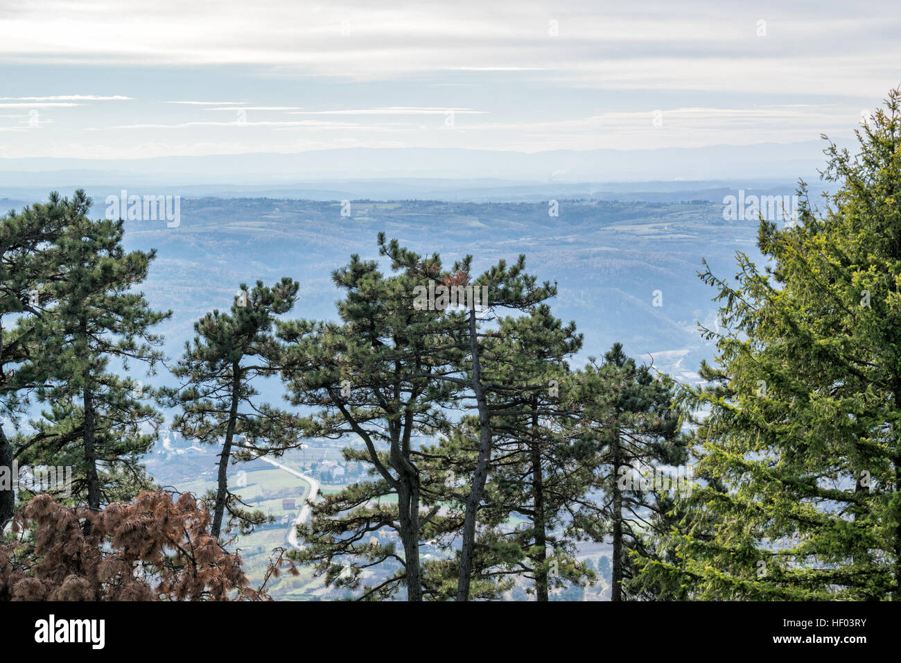 Belle vue aérienne sur la belle nature avec les arbres en face et les montagnes, les forêts et les prairies en arrière-plan en Serbie Banque D'Images