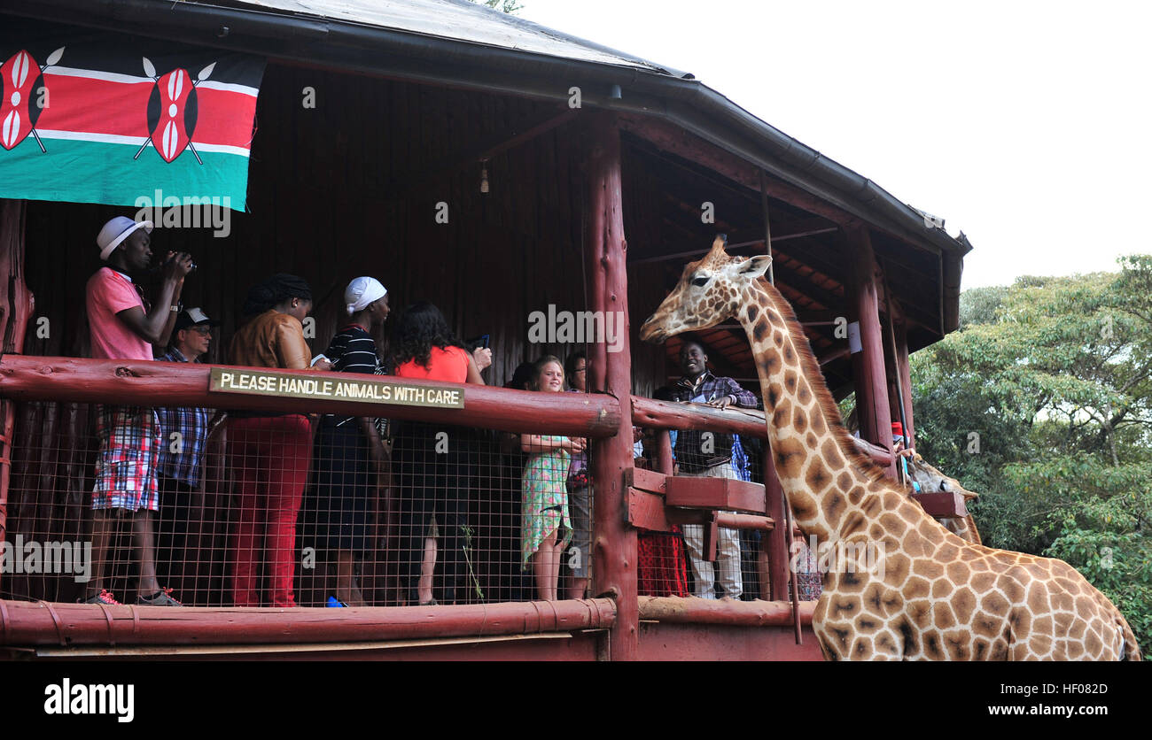 Nairobi, Kenya. Dec 25, 2016. Les touristes visitent le Giraffe Centre à Nairobi, capitale du Kenya, le 25 décembre, 2016. Giraffe Centre, fondé en 1979, fait partie d'un mouvement en essayant de sauver les girafes, avec quelques espèces en voie de disparition actuellement girafe. © Li Baishun/Xinhua/Alamy Live News Banque D'Images