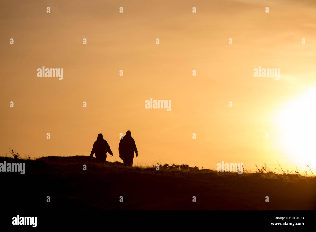 Un couple de promeneurs de chiens profiter du gel sur la montagne Halkyn, Flintshire au lever du soleil, marcher dans le soleil Banque D'Images