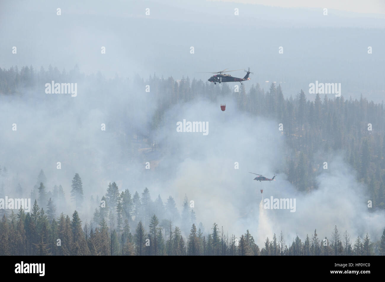 L'armée américaine d'hélicoptères UH-60 Black Hawk affecté à la Garde nationale de Californie goutte eau sur la Ponderosa de forêt près de Redding, en Californie, le 23 août, 2012. L'air de Californie et de l'Armée de gardes nationaux appuient les efforts de lutte contre les incendies dans plusieurs régions de l'état. (Photo par le Sgt. David J. Loeffler) Incendies de Californie 2012 120823-Z-WQ610-016 Banque D'Images