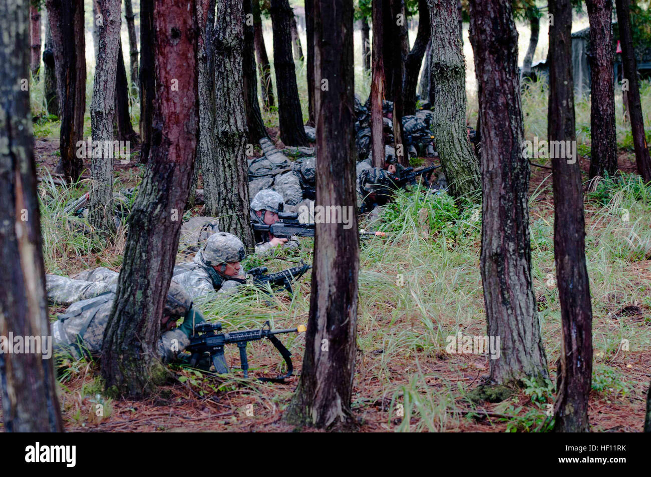 Les soldats du 1er Bataillon, 14e Régiment d'Infangry, 2e Stryker Brigade Combat Team, 25e Division d'infanterie, hors de Schofield Barracks, Missouri, tenir une position défensive sur le terrain lors d'un exercice d'entraînement, l'événement culminant de Bouclier d'Orient 12. Bouclier d'Orient est un exercice annuel d'entraînement réunissant l'armée américaine et le Japon d auto-défense au sol pour renforcer leurs relations, assurant le maintien de la stabilité régionale et la sécurité. (U.S. Photo de l'armée par le Sgt. Daniel Johnson) Rester en ligne ! (Photo 5 de 7) (8161345740) Banque D'Images