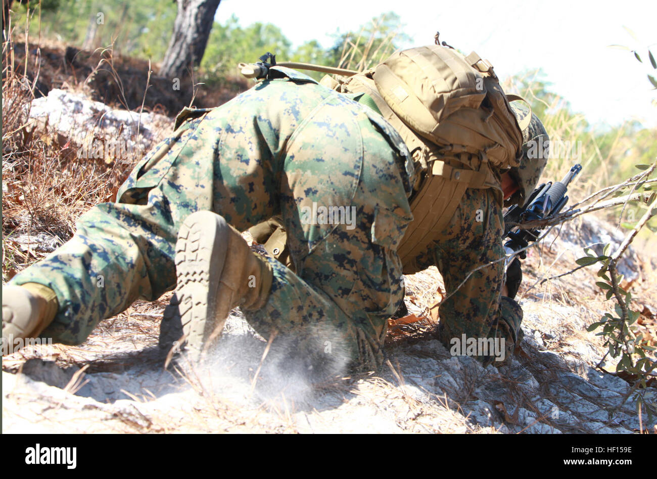 Un scurries Marine hors de sa position cachée que son équipe se lance dans l'offensive pendant un exercice tenu par 2e Groupe logistique maritime à bord du cours Les caporaux Camp Lejeune, en Caroline du Nord, le 5 février 2013. Le côté droit de l'équipe Marine a pris contact avec une unité rivale juste avant l'engagement, ce qui a permis à l'cours stagiaires à utiliser les tactiques qu'ils ont appris en classe. Déménagement du couvercle 130205-M-ZB219-184 Banque D'Images