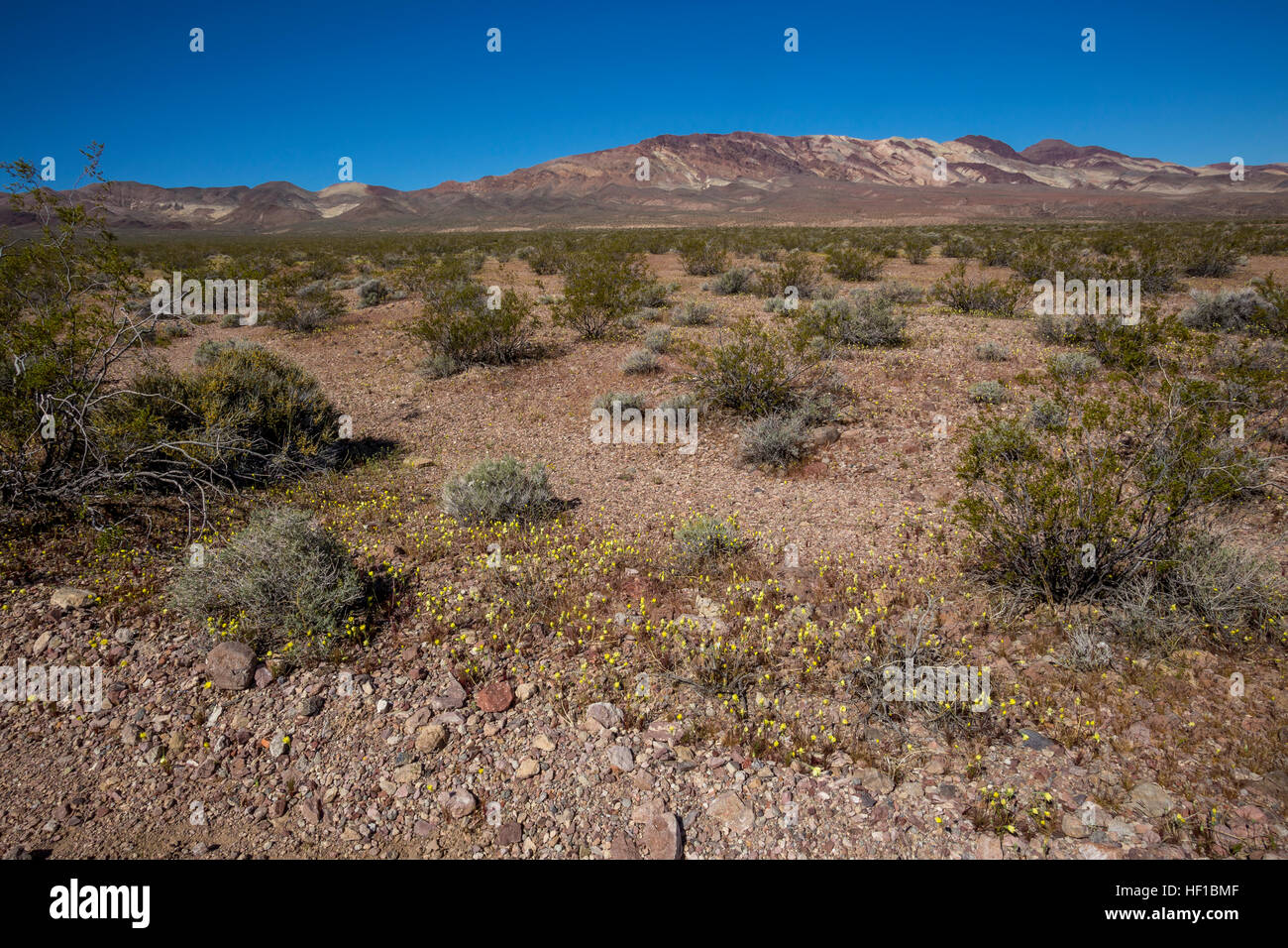 Montagne Noire, vue depuis, Dante's View Road, Death Valley National Park, Death Valley, California, United States Banque D'Images