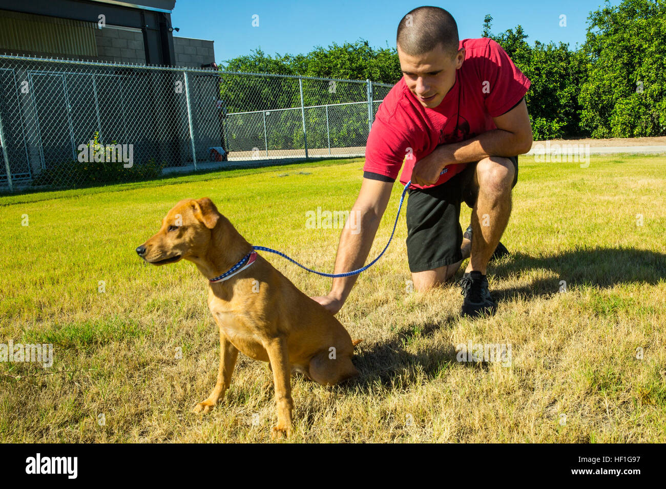 Un bénévole du Programme marin unique prend un chien au cours d'une occasion de bénévolat à la Société protectrice des animaux de Yuma (Arizona), le mercredi. Le HSOY s'assure que tous les chiens à recevoir au moins 45 minutes de temps à l'extérieur par jour. Selon Victor Santiago, le front office superviseur pour HSOY, unités de Marine Corps Air Station Yuma viennent chaque semaine et faire leur entraînement physique avec les chiens. Seul Programme marin visite la Société protectrice des animaux locale 130925-M-E017-017 Banque D'Images