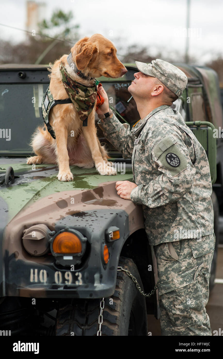 Le Sgt. 1re classe Jason syriaque, un agent de la police militaire avec la Garde nationale de Caroline du Nord et de l'Administration centrale du siège de société, 130e Brigade, d'amélioration de Manœuvre joue avec son chien, Rosco, dans la piscine du moteur derrière son unité's armory de Charlotte, N.C., 11 janvier. Rosco est un trouble de stress post-traumatique companion animal dont le travail principal est d'aider le syriaque, un deux-temps, ancien combattant de la guerre de l'Iraq, traiter le désordre et l'aider à récupérer. Syriac aide également les chiens de secours d'être formés pour d'autres membres du service pour qu'ils puissent également bénéficier de la compagnie qu'il vit avec Rosco. (U.S. Arm Banque D'Images