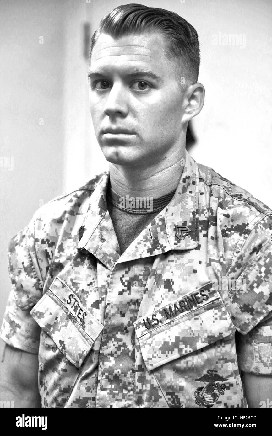 Le Sergent Ryan M. Stites, mécanicien de véhicules d'assaut amphibie avec détachement de maintenance, du bataillon logistique de combat 15, 1er Régiment du génie de la Marine Logistics Group, pose pour une photo à bord de Camp Pendleton, en Californie, le 21 mai 2014. Stites, 26 ans, est de l'Arcane, Oh. (U.S. Marine Corps photo illustration par le Cpl. Timothy Childers / Relâché) Q& A ;, BEC-15 prend des distances vis-à-vis de management 140522-M-VZ265-764 Banque D'Images