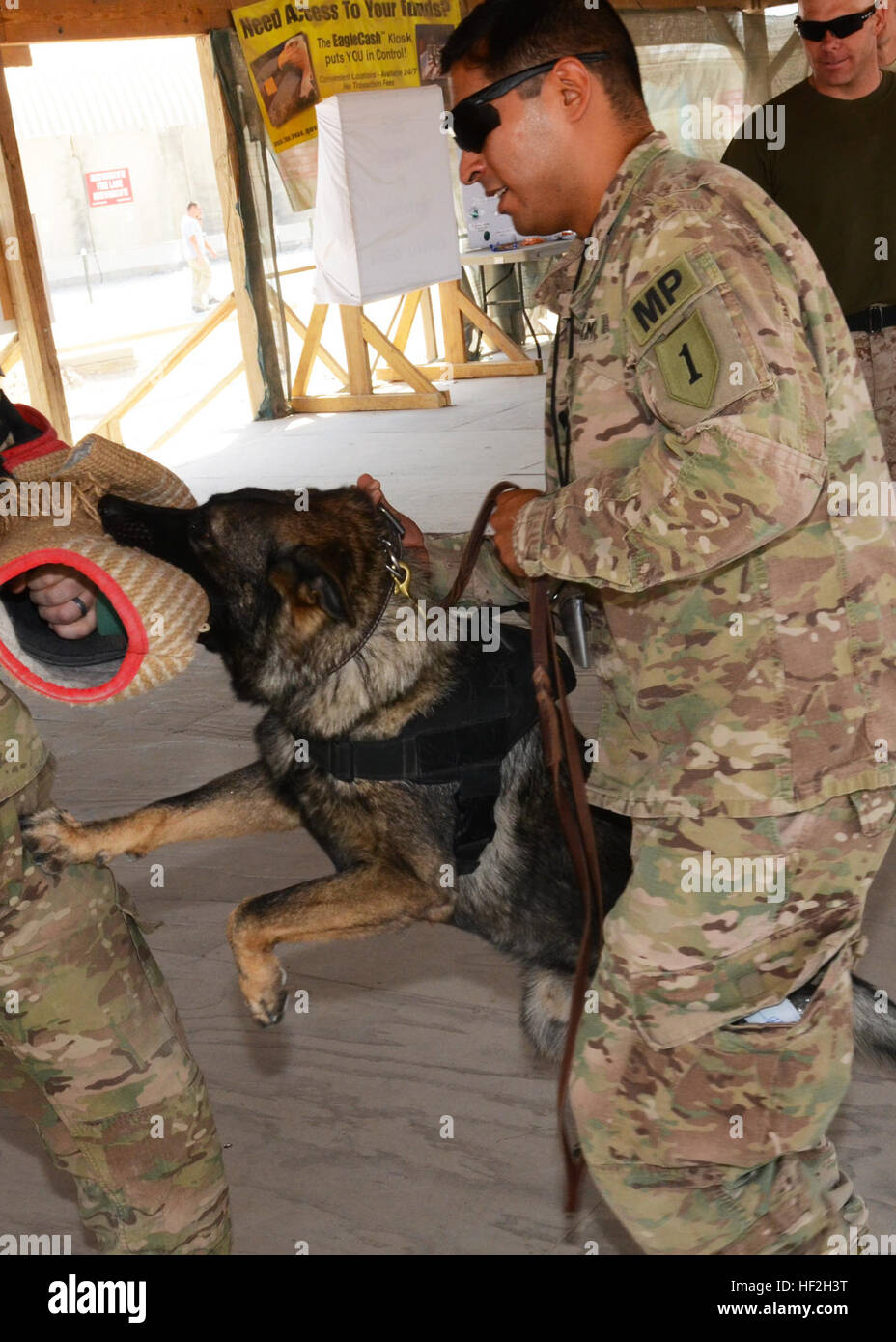 La CPS. Andres Aguilar, à partir de la 226e Détachement de chien de travail militaire, 89e Brigade de police militaire, donne une démonstration de mordre avec son chien de travail militaire, Lux, lors d'un événement commémorant la Journée mondiale de la rage à la promenade sur l'aérodrome de Kandahar, Afghanistan, le 27 septembre 2014. Lux est un garçon de 8 ans de formation de berger allemand pour les patrouilles et la détection des bombes. (U.S. Photo de l'armée par le sergent. John Etheridge) KAF clinique vétérinaire est titulaire d'événement pour marquer la Journée mondiale de la rage 140927-Z-BQ261-049 Banque D'Images