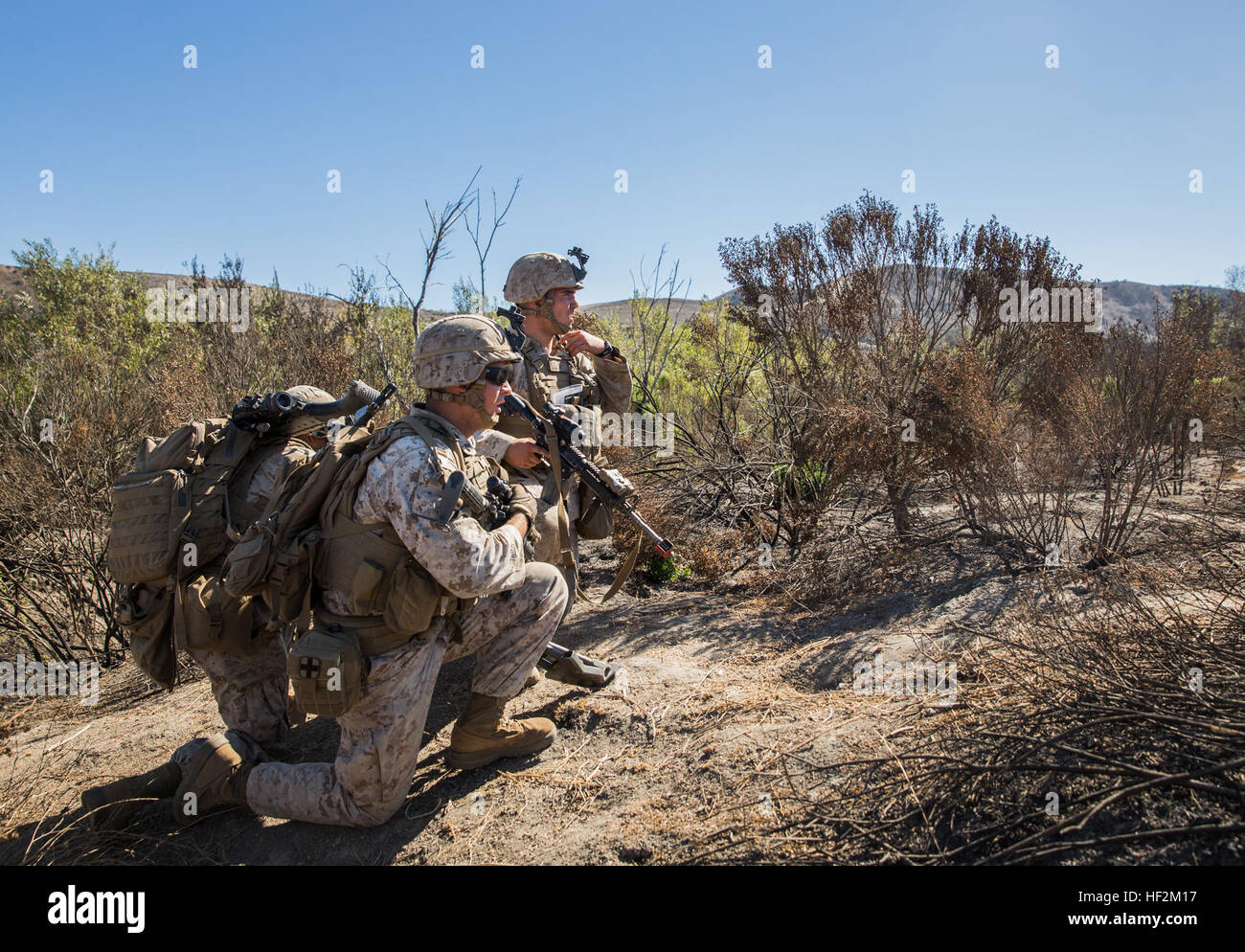 Les Marines américains avec Lima Company, l'Équipe de débarquement du bataillon du 3e bataillon du 1er Régiment de Marines, 15e Marine Expeditionary Unit, de coordonner un assaut sur une cible lors d'une verticale et d'assaut à bord cours raid Camp Pendleton, en Californie, le 29 octobre 2014. Le cours enseigne les techniques d'assaut vertical et l'importance de travailler ensemble comme une unité cohérente pendant un raid. (U.S. Marine Corps photo par le Sgt. Emmanuel Ramos/libérés) 3-1 Marines d'assaut vertical 141029 formation conduite-M-ST621-094 Banque D'Images