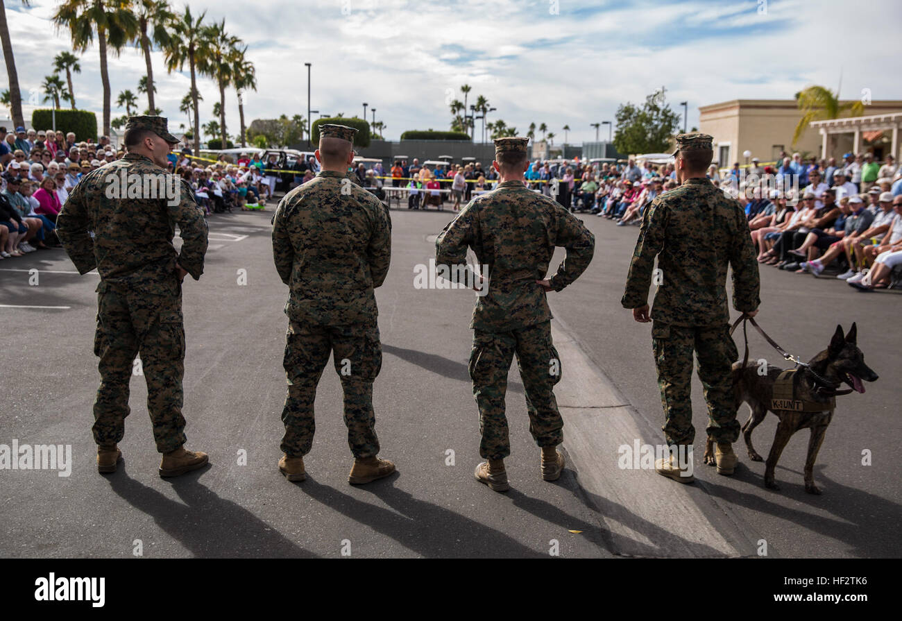Les maîtres de chien K-9 Marine Corps Air Station Yuma (Arizona), démontrer à un public d'amateurs de chiens- montrer les compétences d'un chien de travail militaire, lors d'une exposition canine à Yuma (Arizona), vendredi, le 23 janvier 2015. MCAS YumaE s28099K-9 démontre leurs capacités à l'unité canine locale 150123-M-E017-966 Banque D'Images