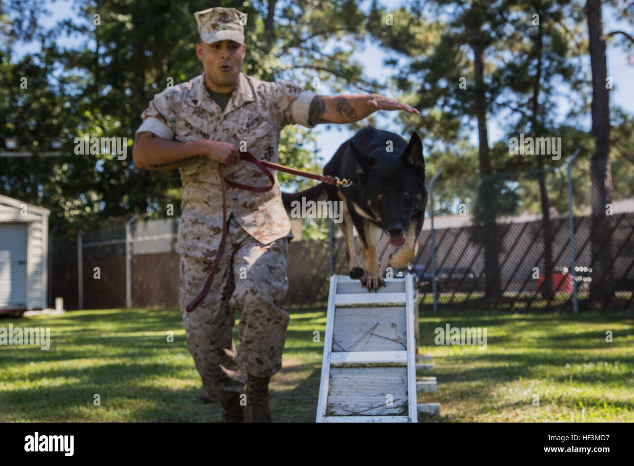 Jeny, un chien de travail militaire, et le Cpl. Jeff E. Montanari, son gestionnaire, s'attaquer à un faisceau sur un parcours au cours d'une session de formation à bord de Marine Corps Air Station Beaufort, 8 octobre. Les équipes, composées d'un chien et d'un gestionnaire, d'exécuter des scénarios possibles qui pourraient être confrontés lors des missions et opérations au jour le jour. Les gestionnaires sont responsables de la santé du MWD, le conditionnement physique et d'avancement dans la formation. Montanari et Jeny sont à la fois avec le grand prévôt, section MWD Office à bord de la station d'air. Chien de travail militaire prend en charge l'équipe de visite du Pape 151007-M-RT059-039 Banque D'Images Jeny, un chien de travail militaire, et le Cpl. Jeff E. Montanari, son gestionnaire, s'attaquer à un faisceau sur un parcours au cours d'une session de formation à bord de Marine Corps Air Station Beaufort, 8 octobre. Les équipes, composées d'un chien et d'un gestionnaire, d'exécuter des scénarios possibles qui pourraient être confrontés lors des missions et opérations au jour le jour. Les gestionnaires sont responsables de la santé du MWD, le conditionnement physique et d'avancement dans la formation. Montanari et Jeny sont à la fois avec le grand prévôt, section MWD Office à bord de la station d'air. Chien de travail militaire prend en charge l'équipe de visite du Pape 151007-M-RT059-039 Banque D'Images
