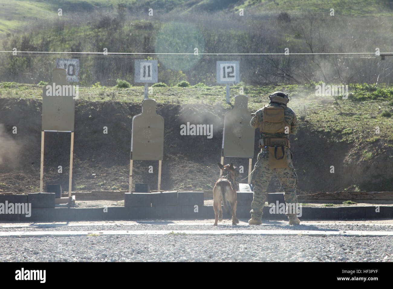 Un chien polyvalent de la Marine américaine, gestionnaire à l'United States Marine Corps Forces Special Operations Command (MARSOC), tire sur la cible lors d'un incendie réel formation canine sur Camp Pendleton, en Californie, le 5 février 2016. MARSOC se spécialise dans l'action directe, reconnaissance spéciale et la défense intérieure à l'étranger et a également été réalisé pour mener la lutte contre le terrorisme, et les opérations d'information. (U.S. Marine Corps Photo par Lance Cpl. Roderick Jacquote/libérés) Formation canine 160205-M-DU576-046 Banque D'Images