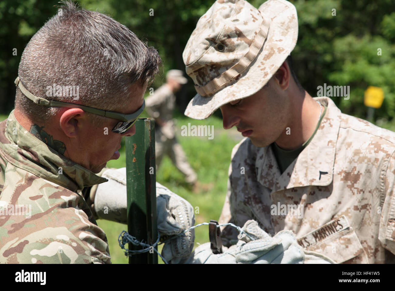 La FPC. Jacob D. Mays (à droite), ingénieur de combat avec l'entreprise C, 6e, 4e Bataillon d'appui du Groupe de la logistique maritime, Réserve des Forces maritimes, et le Cpl. Sean P. Bonne (à gauche), un caporal des communications avec 131 Escadron Commando des Royal Engineers, armée britannique, aider à construire un obstacle défensif pendant l'exercice Red Dagger à Fort Indiantown Gap, Penn., 13 juin 2016. Les ingénieurs de combat renforcer l'élan d'une force physique par l'élaboration de l'espace de combat pour améliorer l'utilisation d'une unité d'espace et de temps tout en refusant à l'ennemi sans mouvement. L'exercice Red poignard est un exercice d'entraînement bilatéral qui donne Banque D'Images