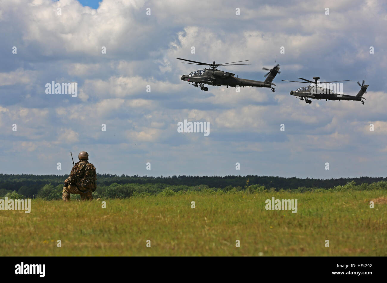 Les forces alliées démontrer les capacités militaires au cours de l'Anakonda-16 Aleksandria Secteur d'entraînement (DPTA) près de Olezno, Pologne, 16 juin 2016. Anakonda 2016 est un exercice multinational dirigée par la Pologne, qui aura lieu en Pologne du 7 au 17 juin. Cet exercice implique plus de 31 000 participants de plus de 20 nations. (U.S. Photo de l'armée par le Sgt. Ashley en) 160616-A-AP678-360 (27741071071) Banque D'Images