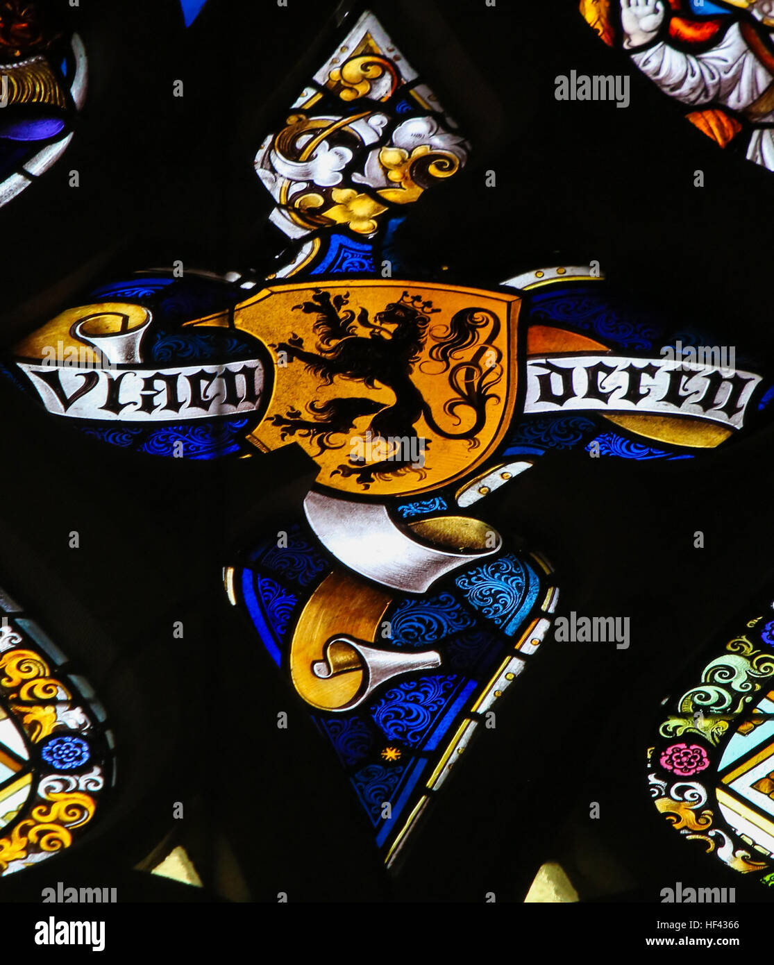 Vitrail représentant le Lion Flamand et le texte Vlaanderen (Flandre) dans la Cathédrale de Saint-bavon à Gand, Flandre orientale, Belgique. Banque D'Images