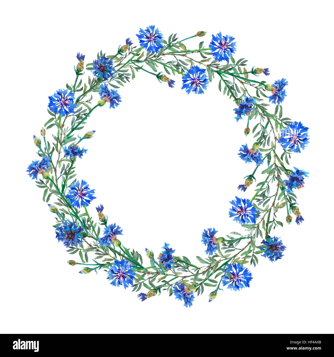 Gerbe de châssis circulaire d'été bio, prairie de fleurs. Peinture à la main à l'Aquarelle illustration à isoler fond blanc. Banque D'Images