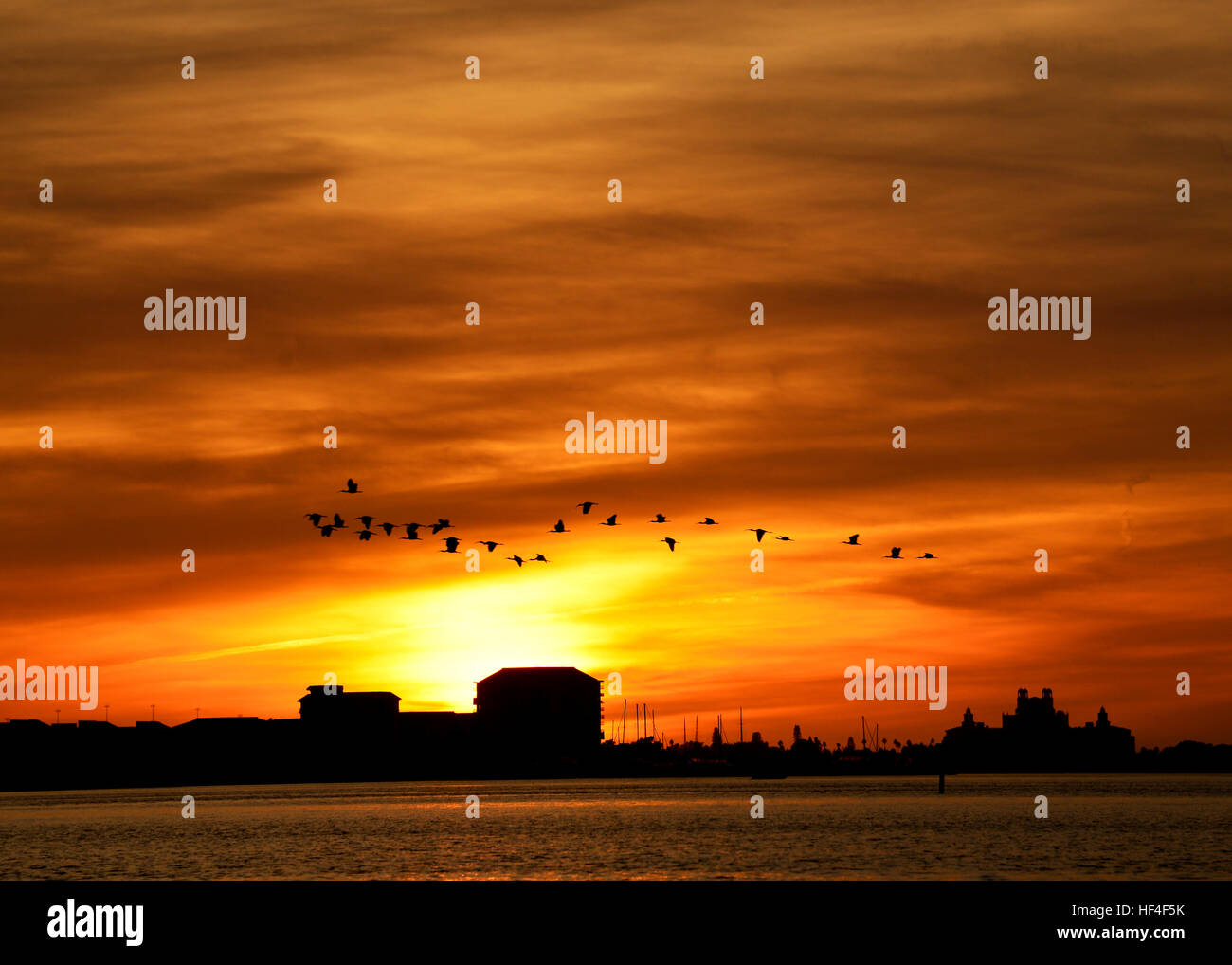 Les oiseaux au coucher du soleil, la plage, le troupeau d'oiseaux volant, ciel orange Banque D'Images