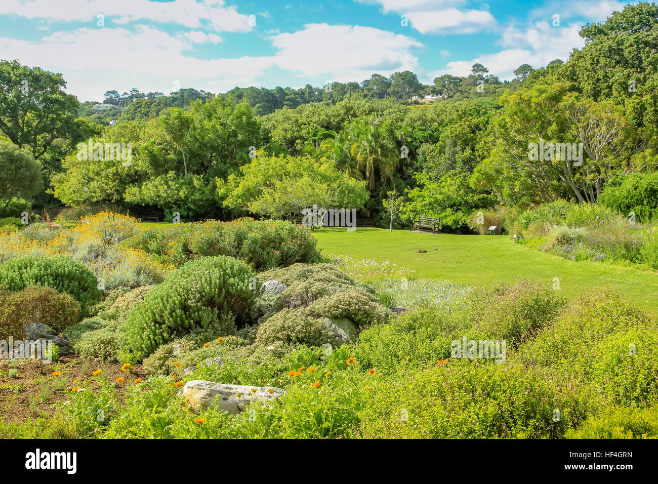 Cap Kirstenbosch Banque D'Images