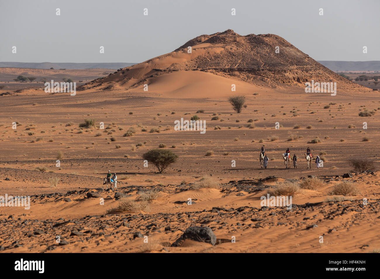 Les Pyramides de Méroé, Soudan, Afrique Banque D'Images