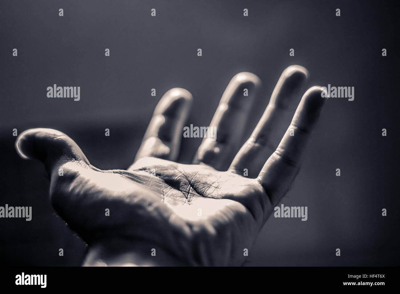 Photographie d'une main humaine Banque D'Images