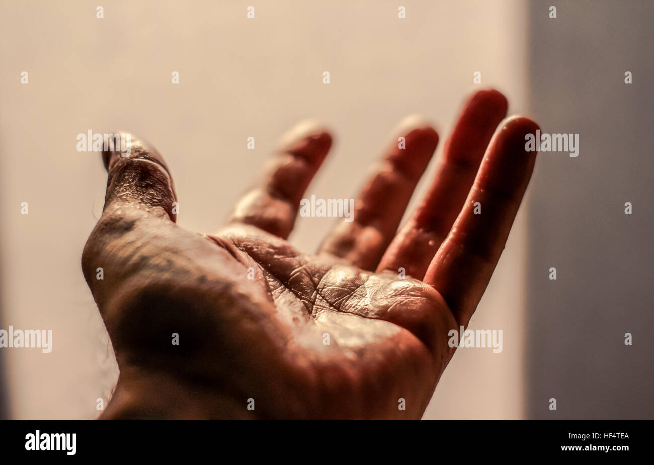 Photographie d'une main humaine Banque D'Images