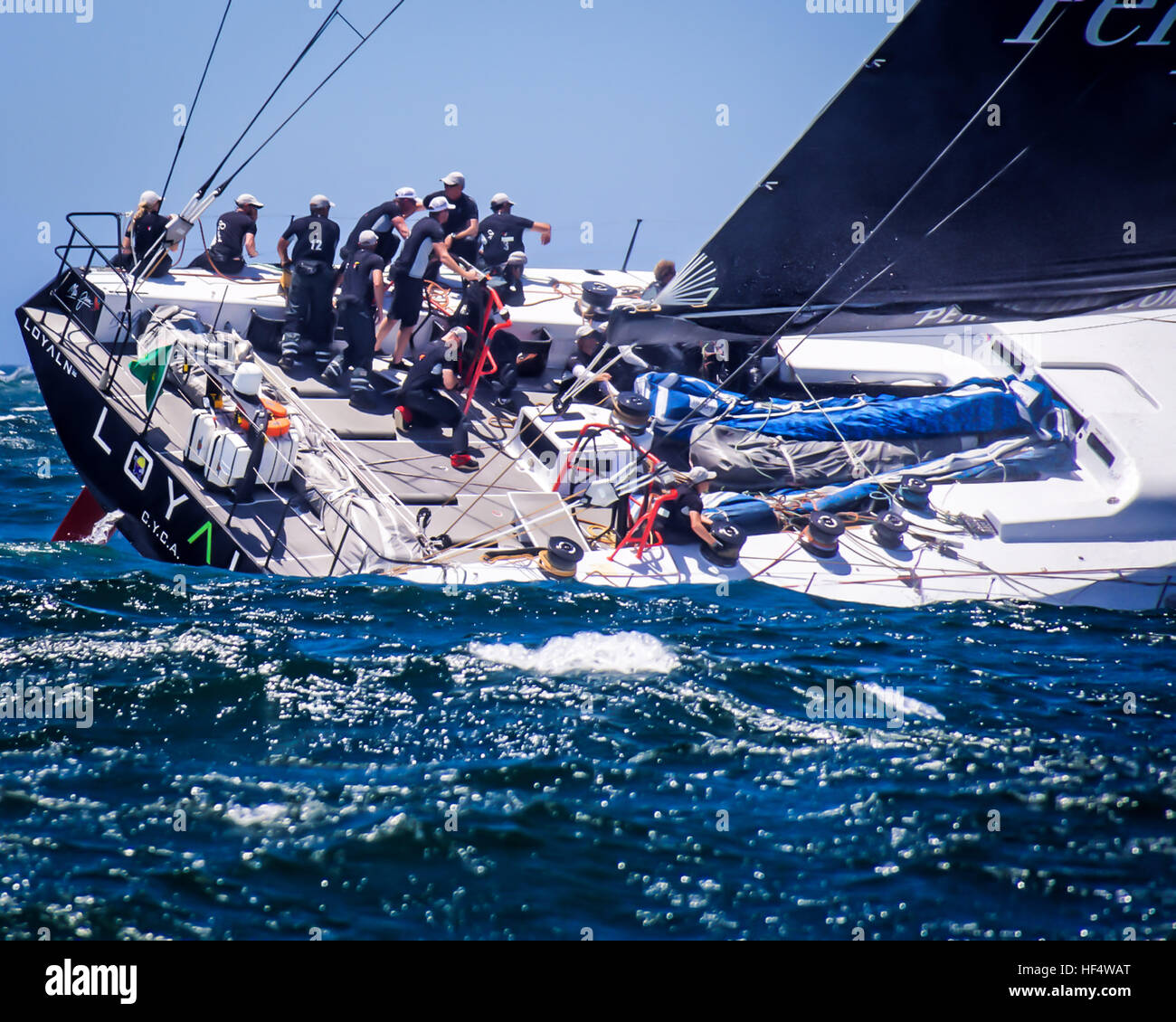 Sydney, Australie. 12Th sep 2016. Anthony Bell's 'fidèles' perpétuelle, représenté à la forte houle suivant le début de la Rolex Sydney Hobart Yacht Race. Fidèle perpétuelle a remporté la bataille d'être d'abord par le biais de chefs de Sydney et dans l'océan Pacifric. © Hugh Peterswald/Pacific Press/Alamy Live News Banque D'Images