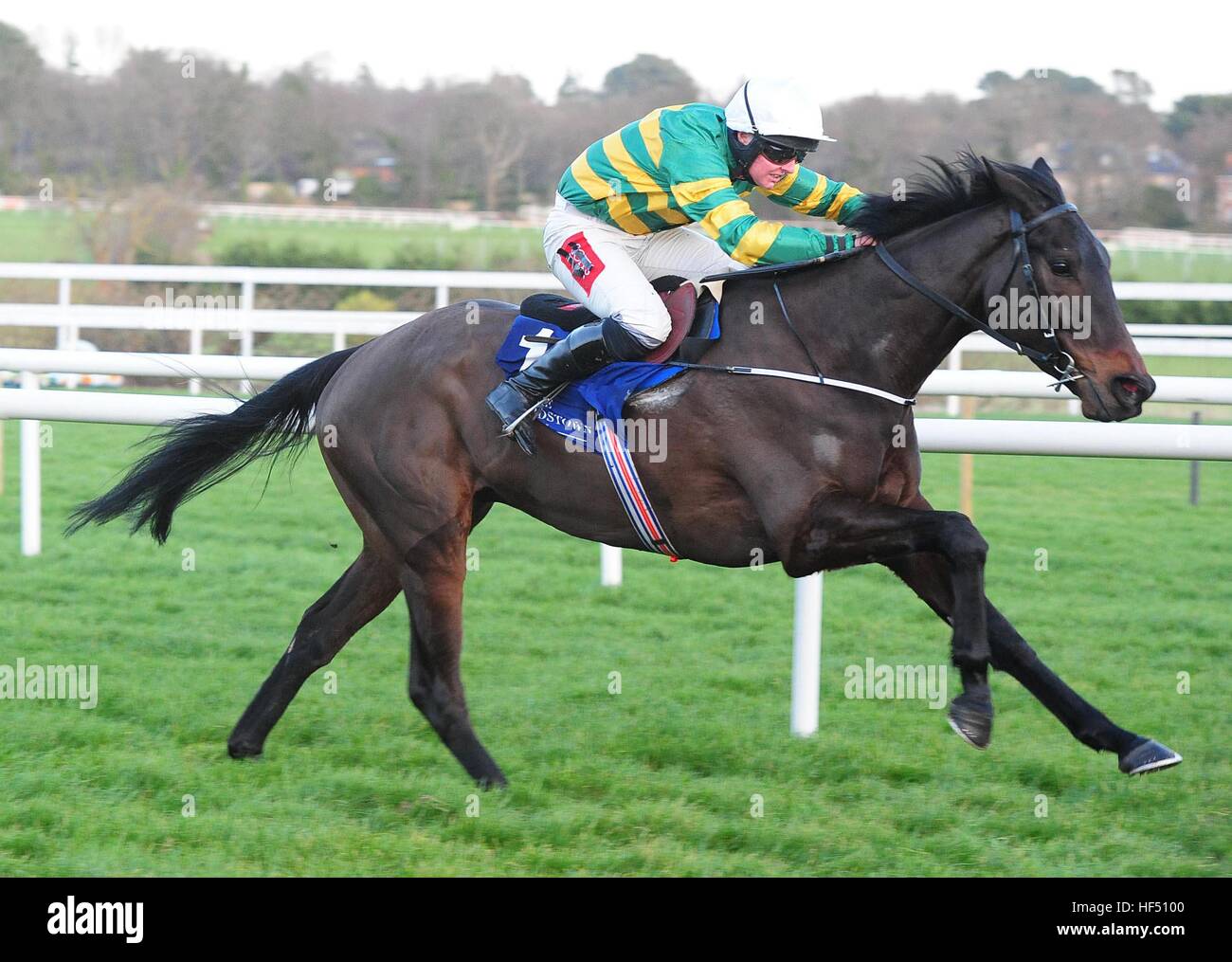 Aeglos et Tom Hamilton remporte le Lep Inn courses de plat au cours de la première journée du Festival de Noël à l'hippodrome de Leopardstown. Banque D'Images