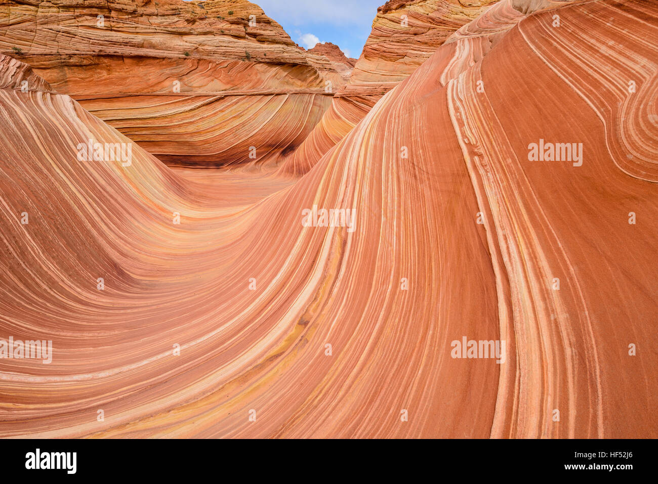 Vagues rouge - Une vue rapprochée de la surfaces de grès colorés de la vague en Amérique du Coyote Buttes à frontière Arizona-Utah, USA. Banque D'Images