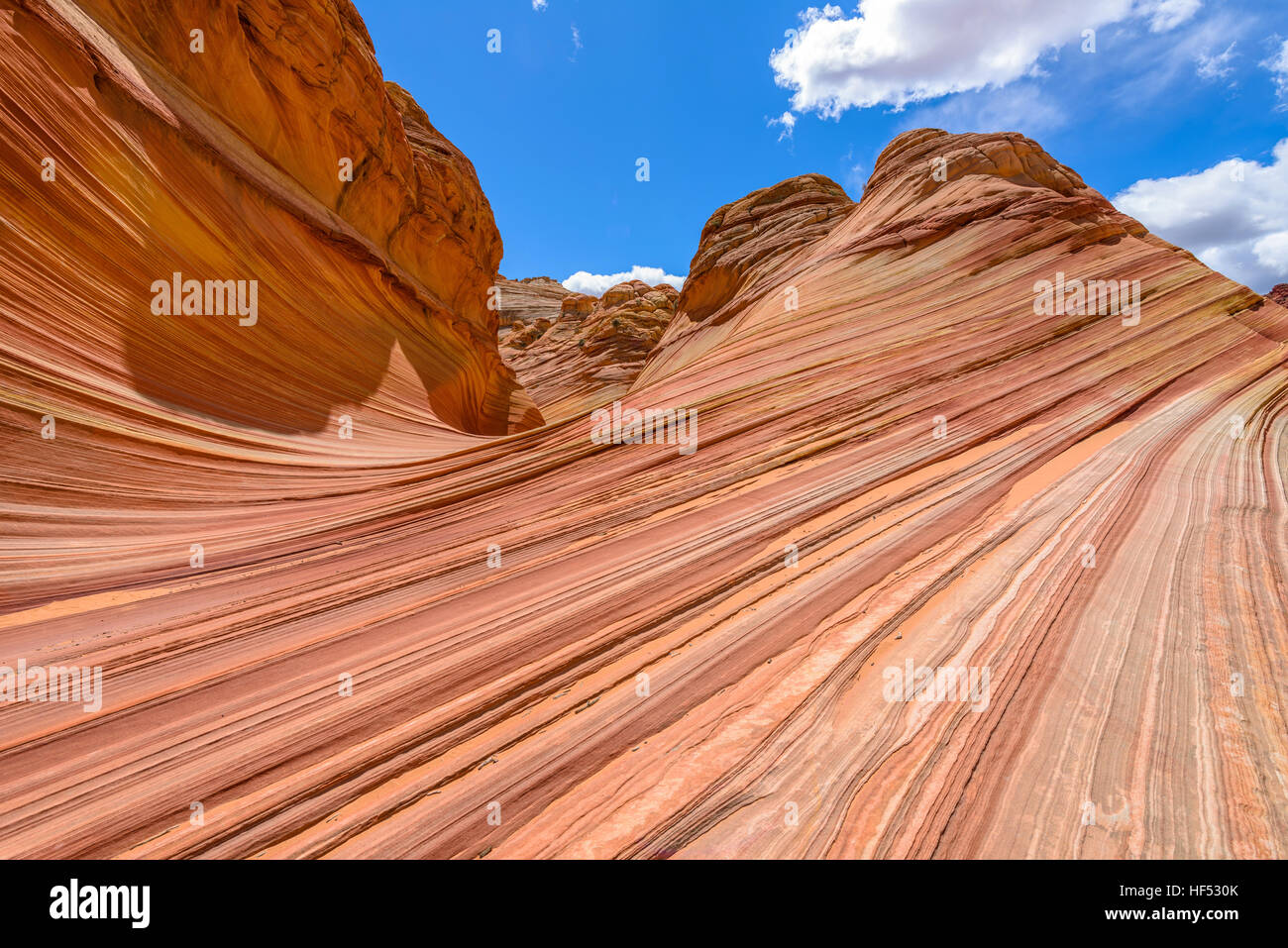 Roches Rouges et Ciel Bleu - mur de grès rouge et de buttes tourbillonnant à l'entrée nord de la vague à la frontière Arizona-Utah, USA. Banque D'Images