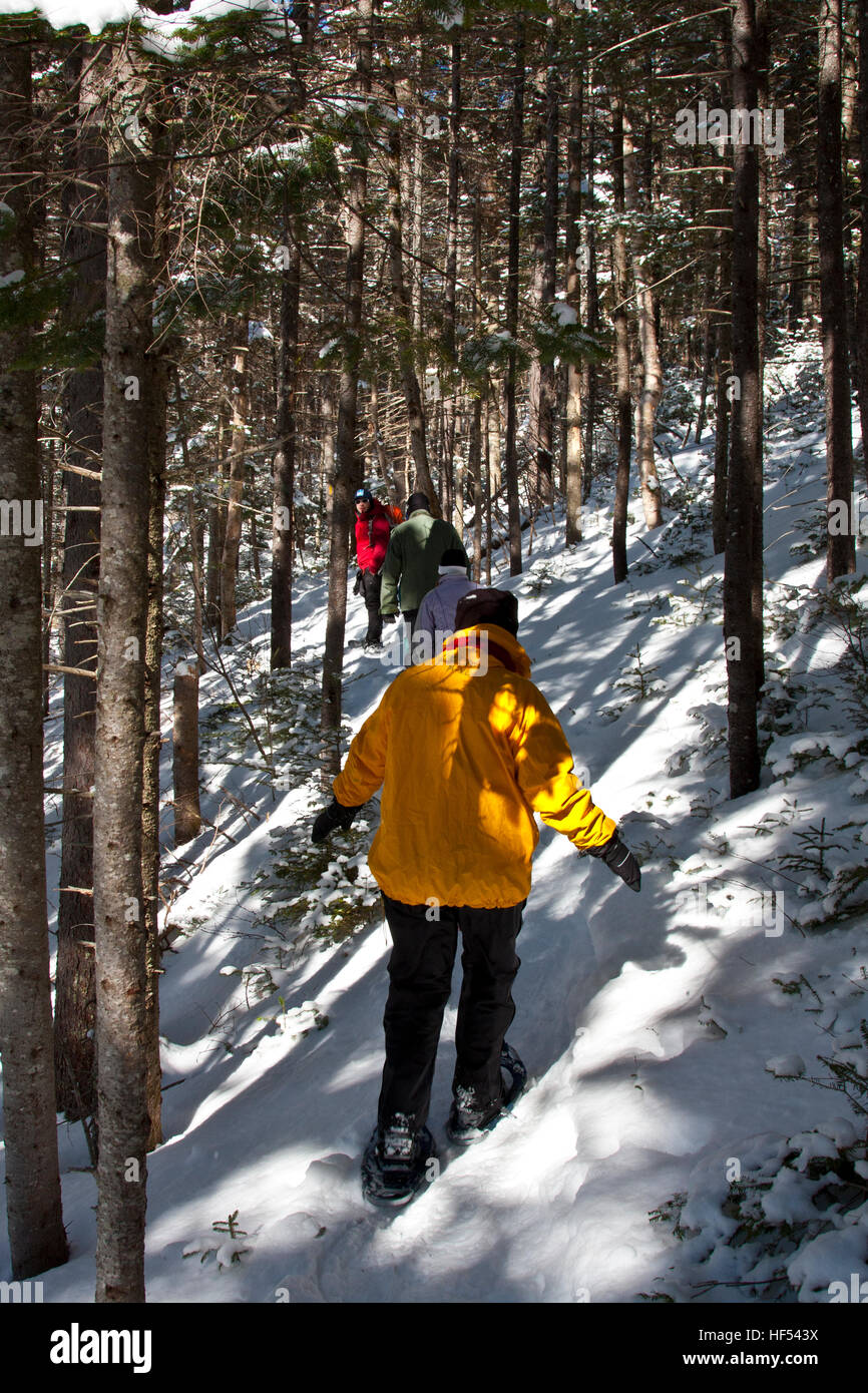 L'Appalachian Mountain Club Highland Center à Crawford Notch, New Hampshire, USA, la raquette à neige un chemin de montagne Banque D'Images