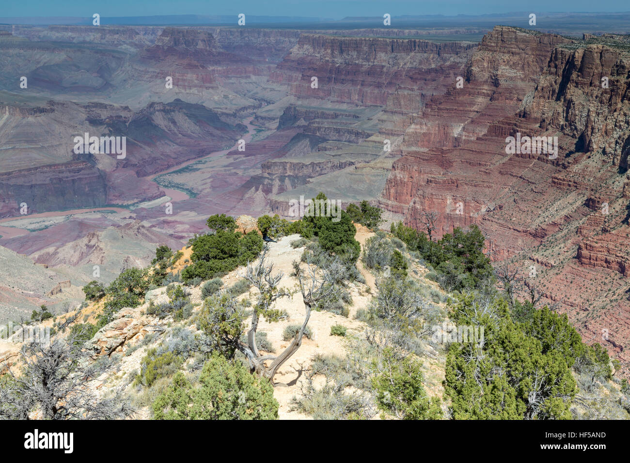 Paysage, panorama, rock, le canyon, la rive sud, le Parc National du Grand Canyon, Arizona, USA Banque D'Images