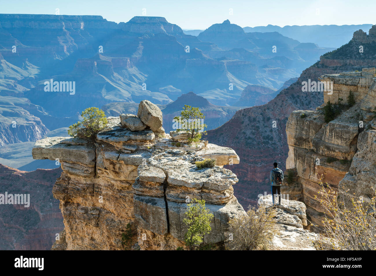 L'homme sur falaise, Rive Sud, le Parc National du Grand Canyon, Arizona, USA Banque D'Images