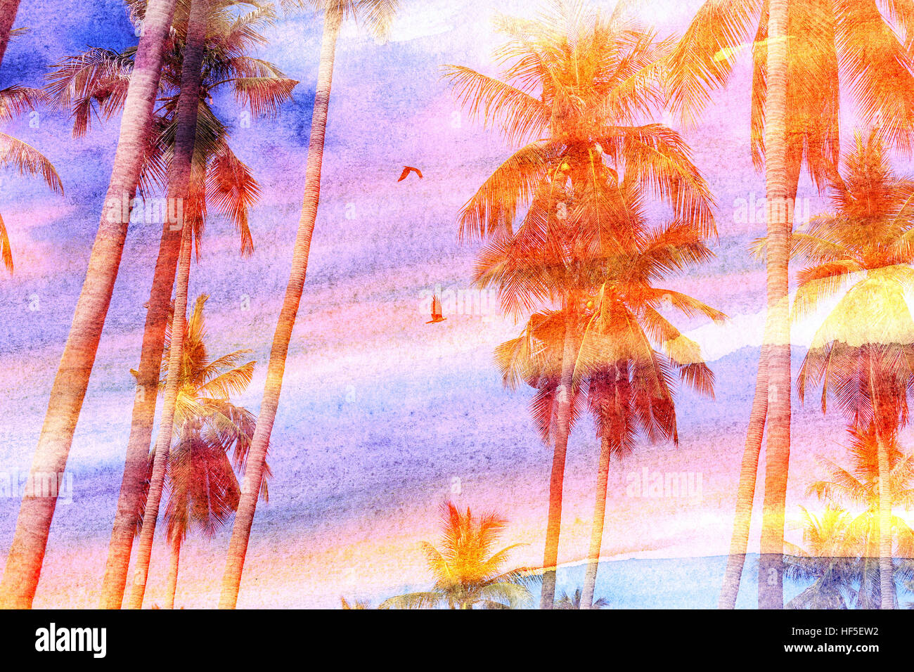 Retro photo de palmiers sur une île tropicale Banque D'Images