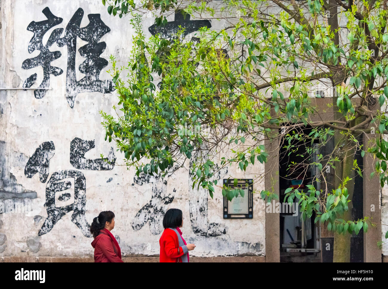 L'écriture chinoise traditionnelle sur mur avec willow tree, Nanxun, ville ancienne, dans la province du Zhejiang, Chine Banque D'Images
