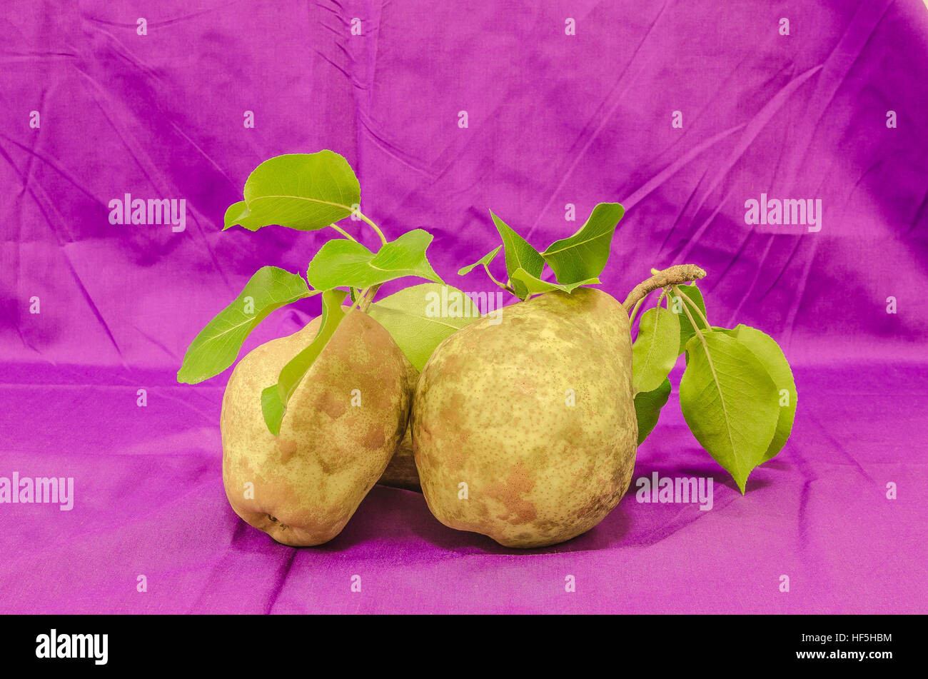 Paires frais isolé sur fond violet. Banque D'Images