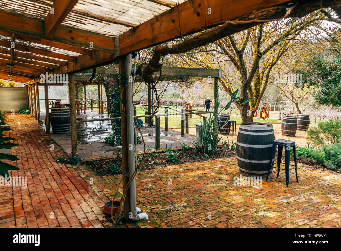 Dans le célèbre producteur Kilikanoon région viticole de la Vallée de Barossa, Australie-Méridionale, Australie Banque D'Images