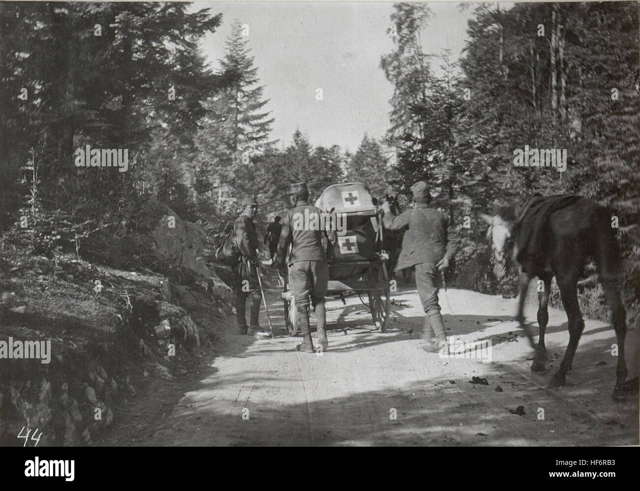 Schwerverwundeter Ternovanerwalde Abtransport gi. 2.9.17. 15601912) Banque D'Images