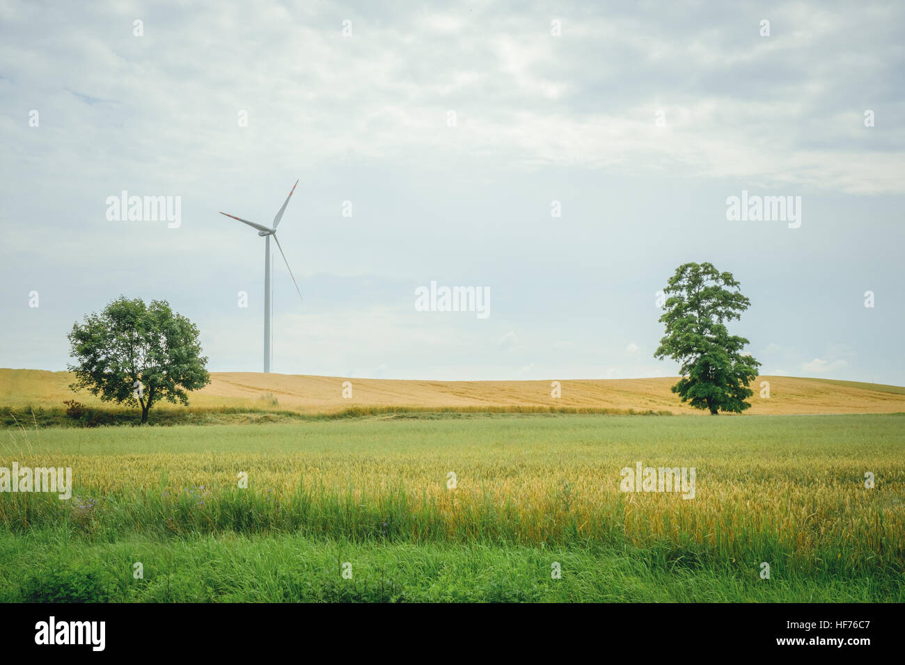 Turbine éolienne à Meadow Banque D'Images