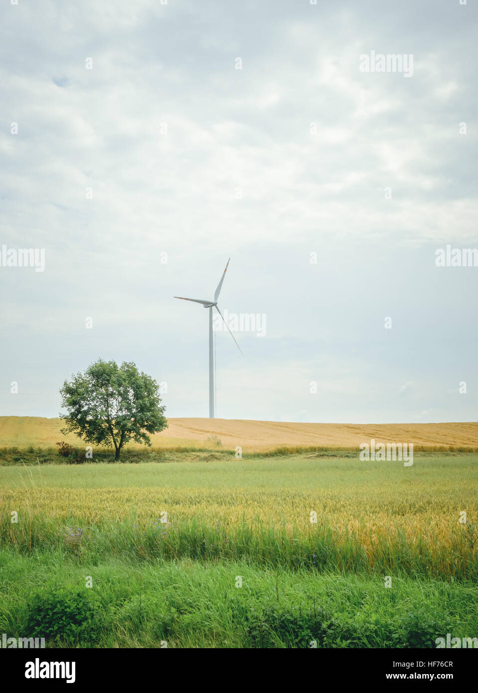 Turbine éolienne à Meadow Banque D'Images