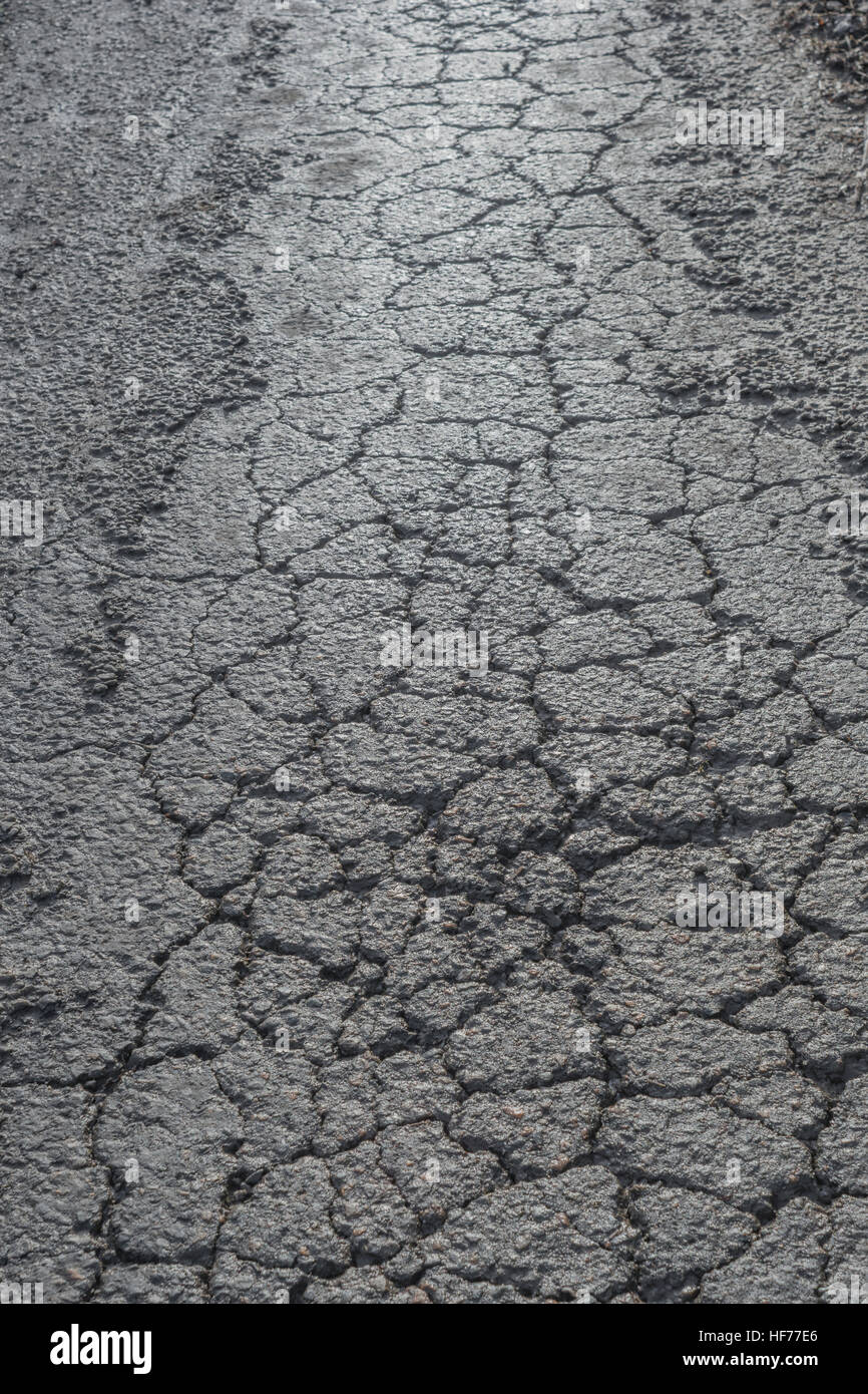 Dommages causés par le gel de la route: Alligator fissure la surface du tarmac d'une route rurale / de campagne à Cornwall, Royaume-Uni. Pour le concept de l'entretien des autoroutes, ancienne surface de tarmac Banque D'Images
