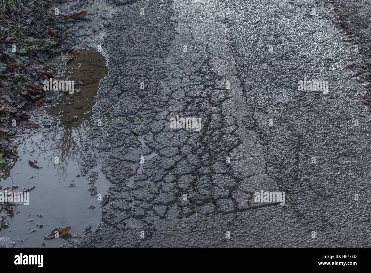 Dommages à la route : mélange de surface de tarmac fissurée par des alligators, de fissures de bloc et de rutting de la route de campagne. Pour manque d'entretien des routes, trou dans la route. Banque D'Images