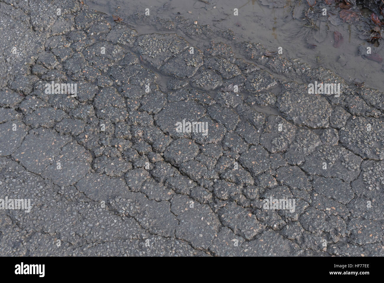 Dommages causés par le gel de la route / présence d'alligators sur la surface du tarmac de la route rurale / de la route de campagne à Cornwall, au Royaume-Uni. Pour le concept de l'entretien des autoroutes, ancienne surface de tarmac Banque D'Images