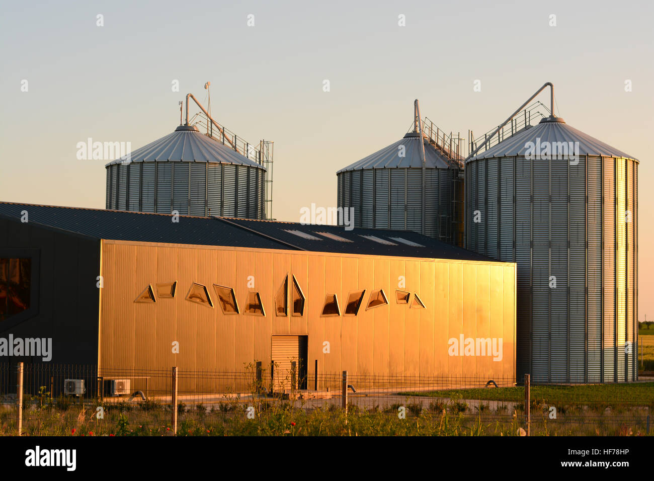 Silo d'entrepôt dans l'agriculture moderne Banque D'Images