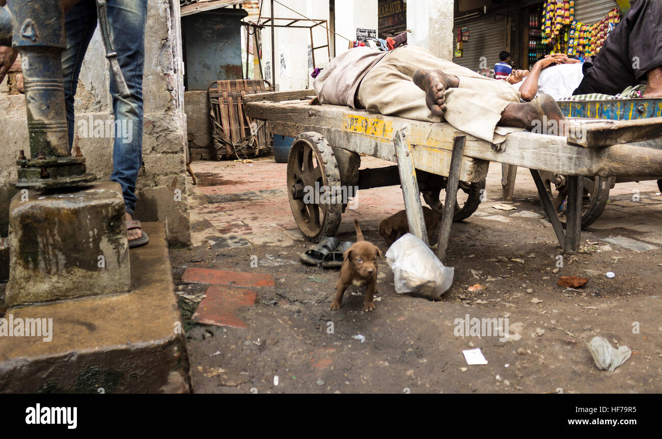 Les gens de Delhi, et un peu le peuvent. Banque D'Images