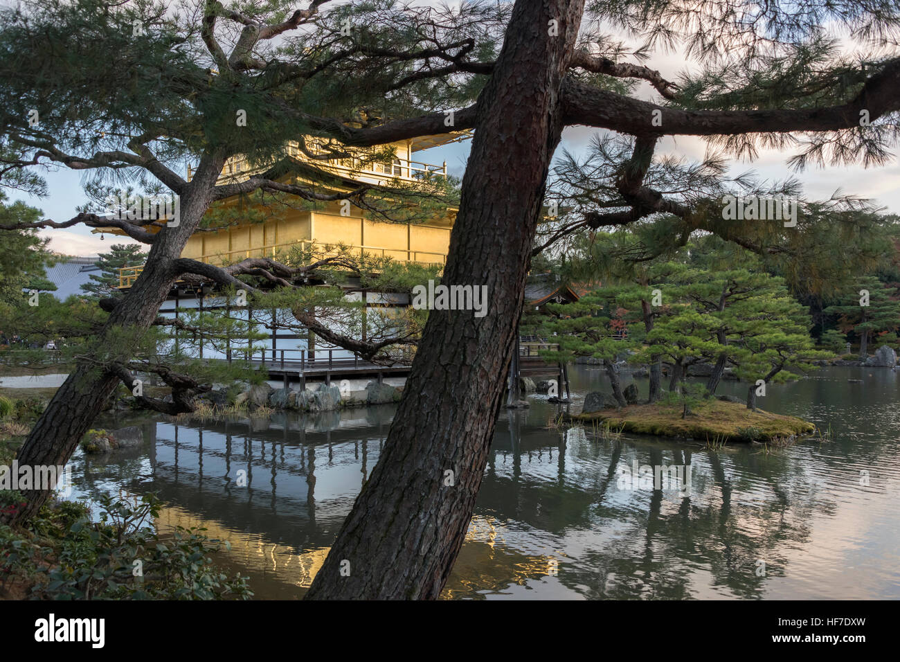 Le Kinkaku-ji de derrière avec des cyprès, Kyoto, Japon Banque D'Images