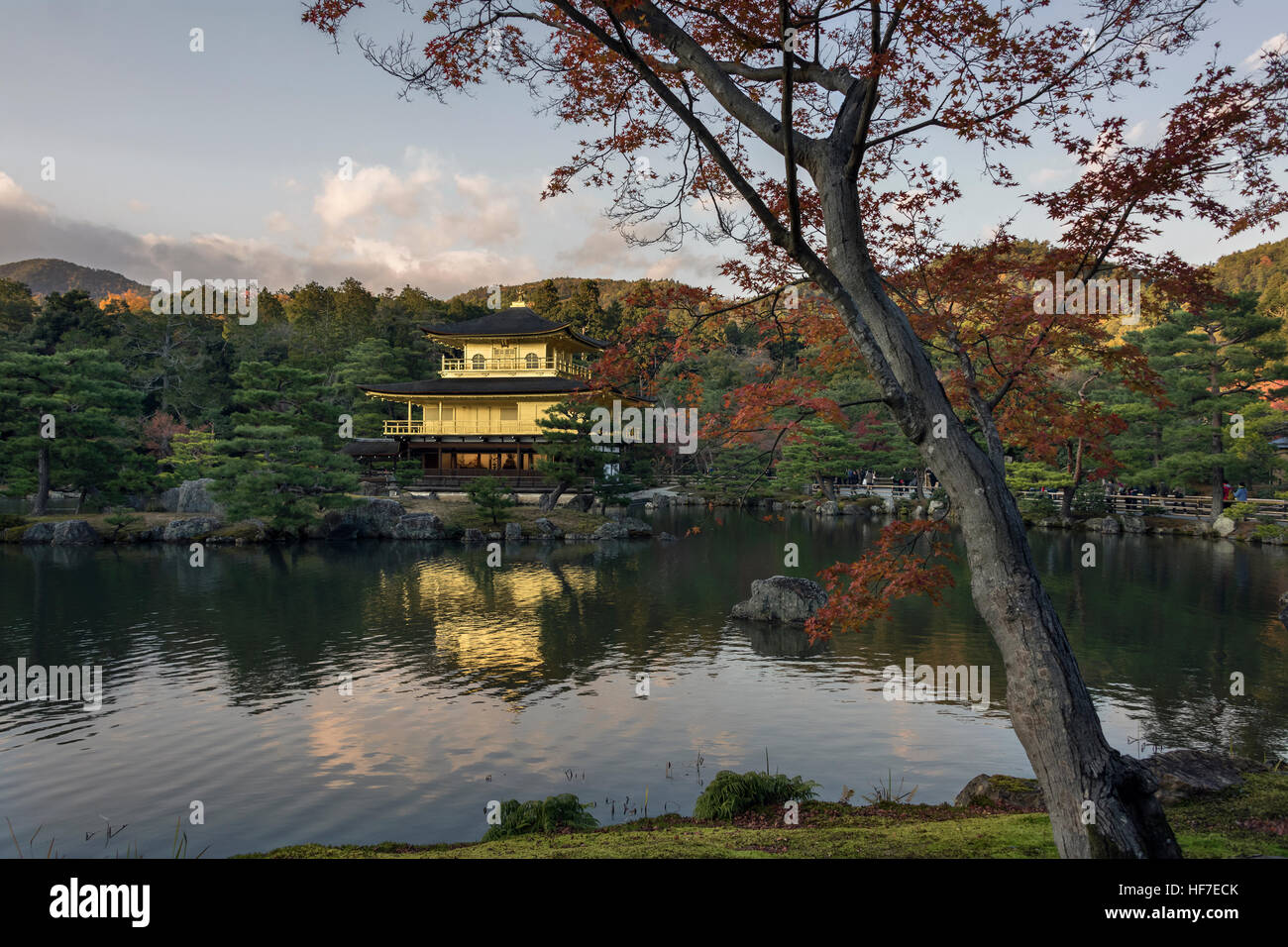 Le Kinkaku-ji (Pavillon d'or) à la fin de la lumière du jour à l'automne, Rokuon-ji templex complexe, Kyoto, Japon Banque D'Images